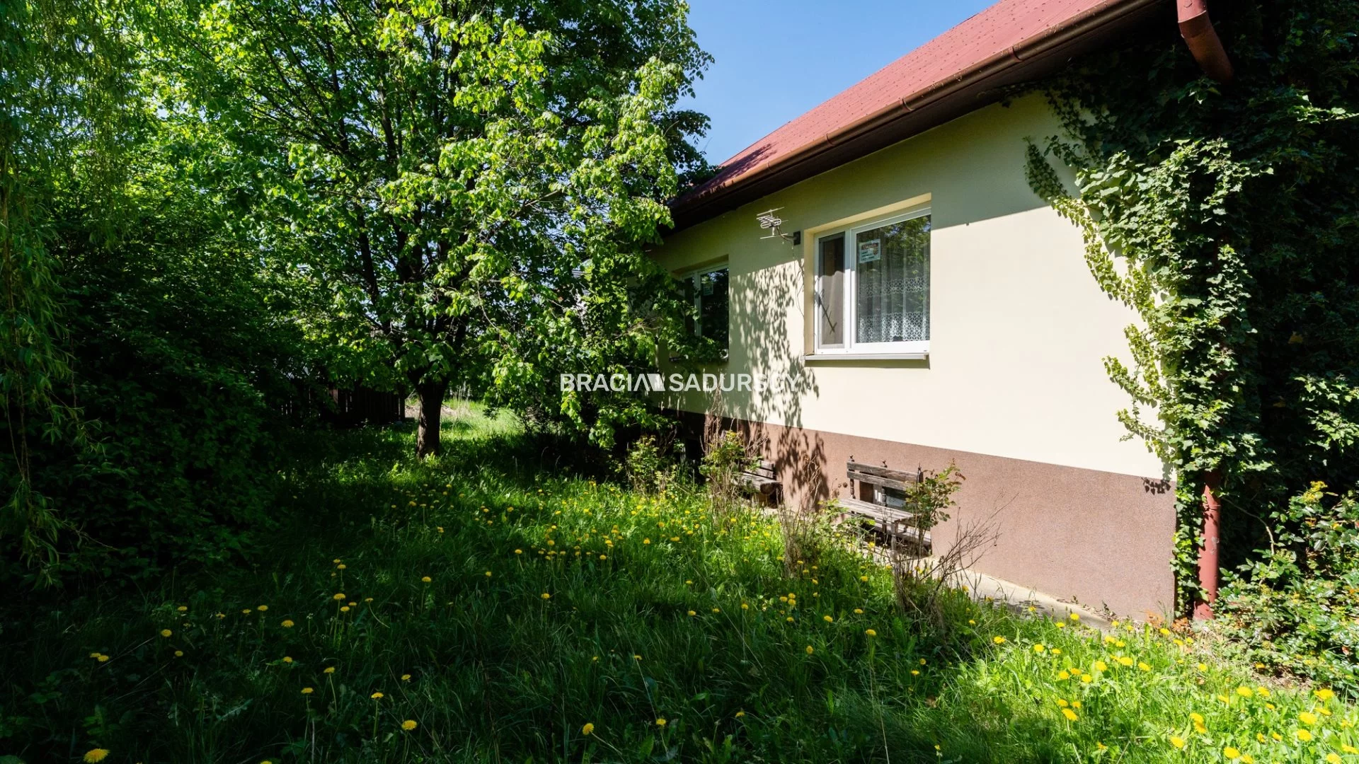 BS3-DS-308847-1 - zdjęcie nr 3