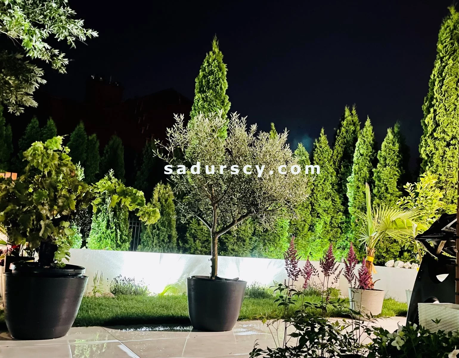 Dom 285,00 m², oferta nr , BS8-DS-278451-81, Piaseczno