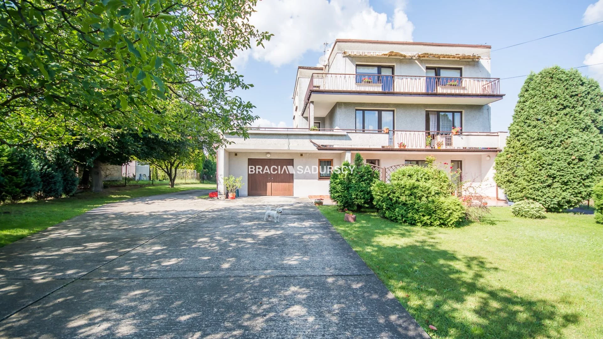 BS1-DS-306825-174 - zdjęcie nr 1