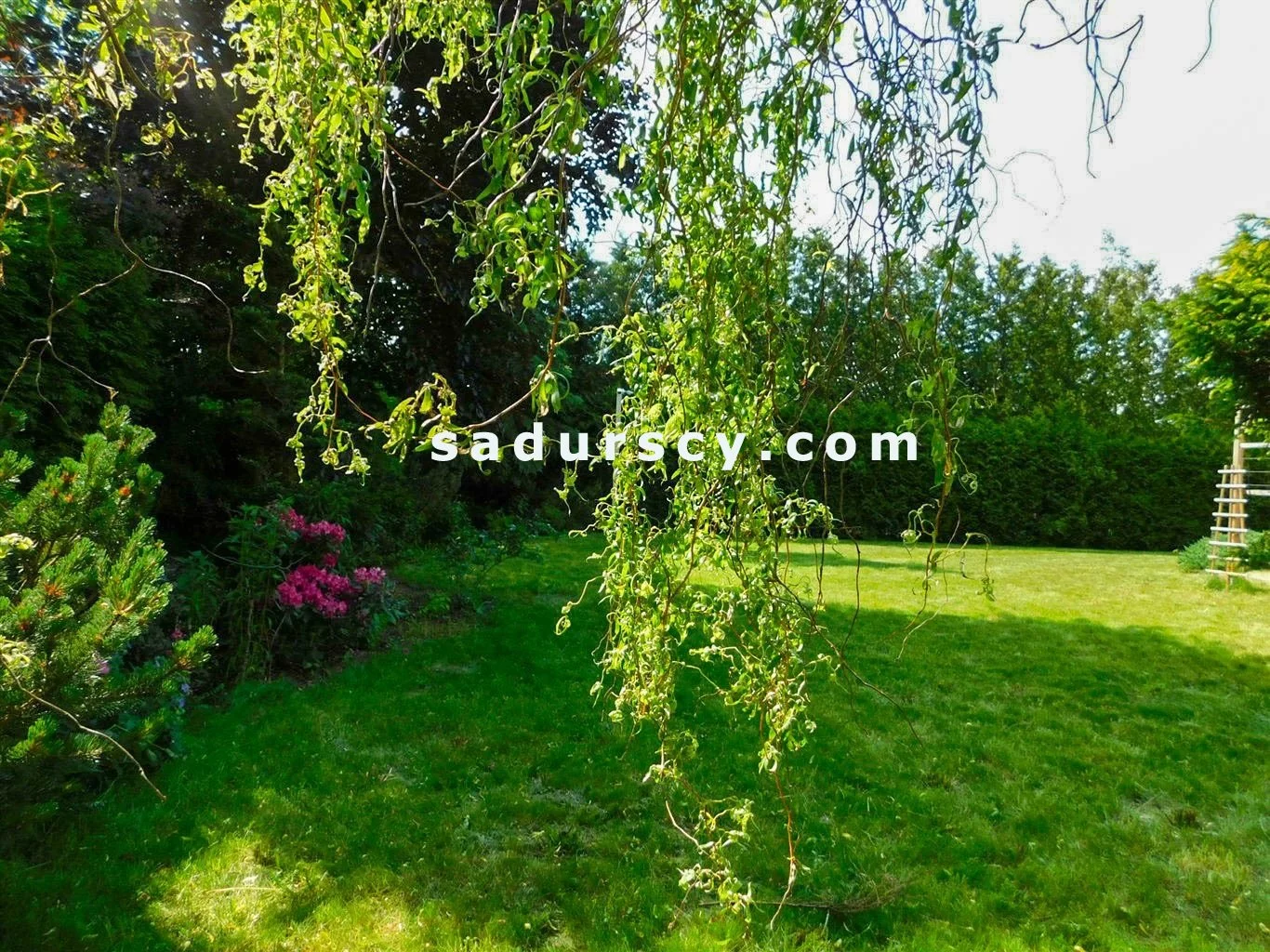 Dom i rezydencja 470,00 m², oferta nr , BS8-DS-305547-15, Piaseczno
