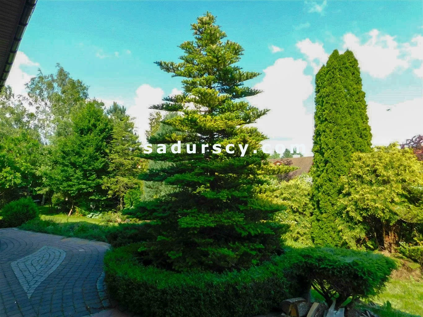 Dom i rezydencja 470,00 m², oferta nr , BS8-DS-305547-15, Piaseczno