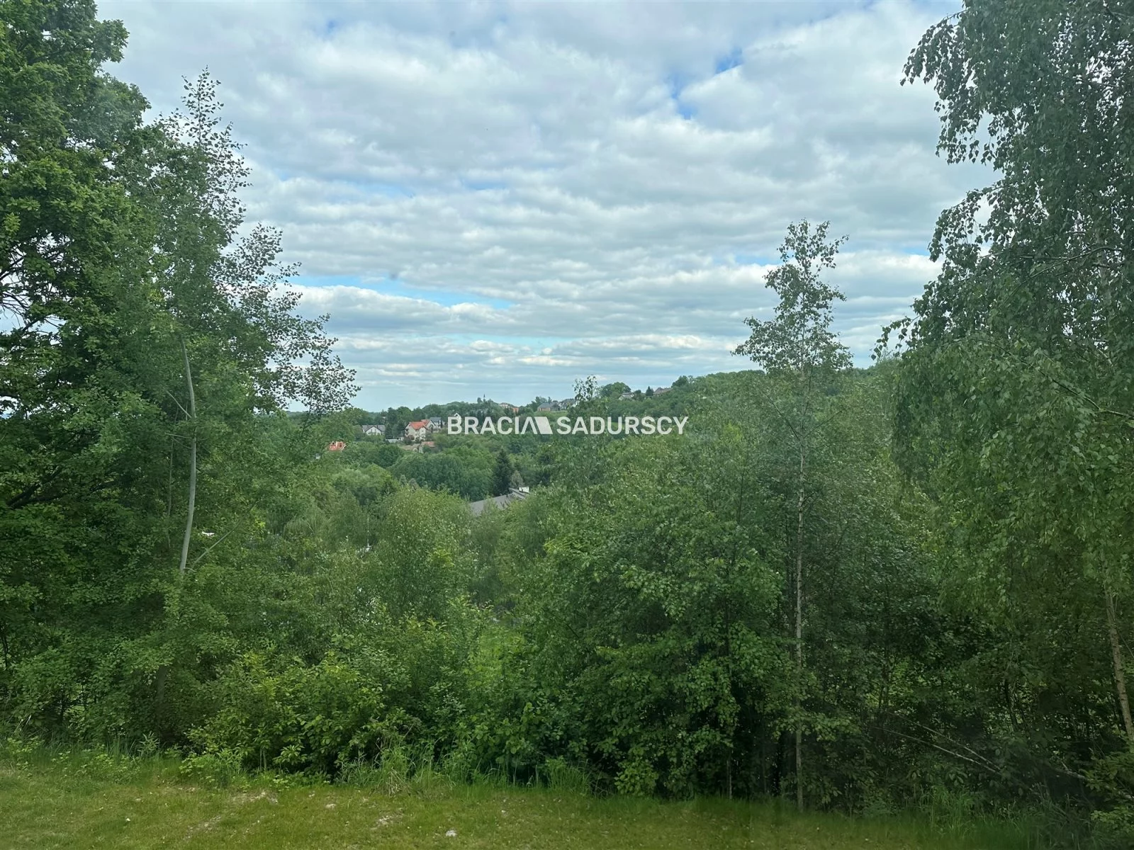 BS4-DS-309442-2 - zdjęcie nr 0