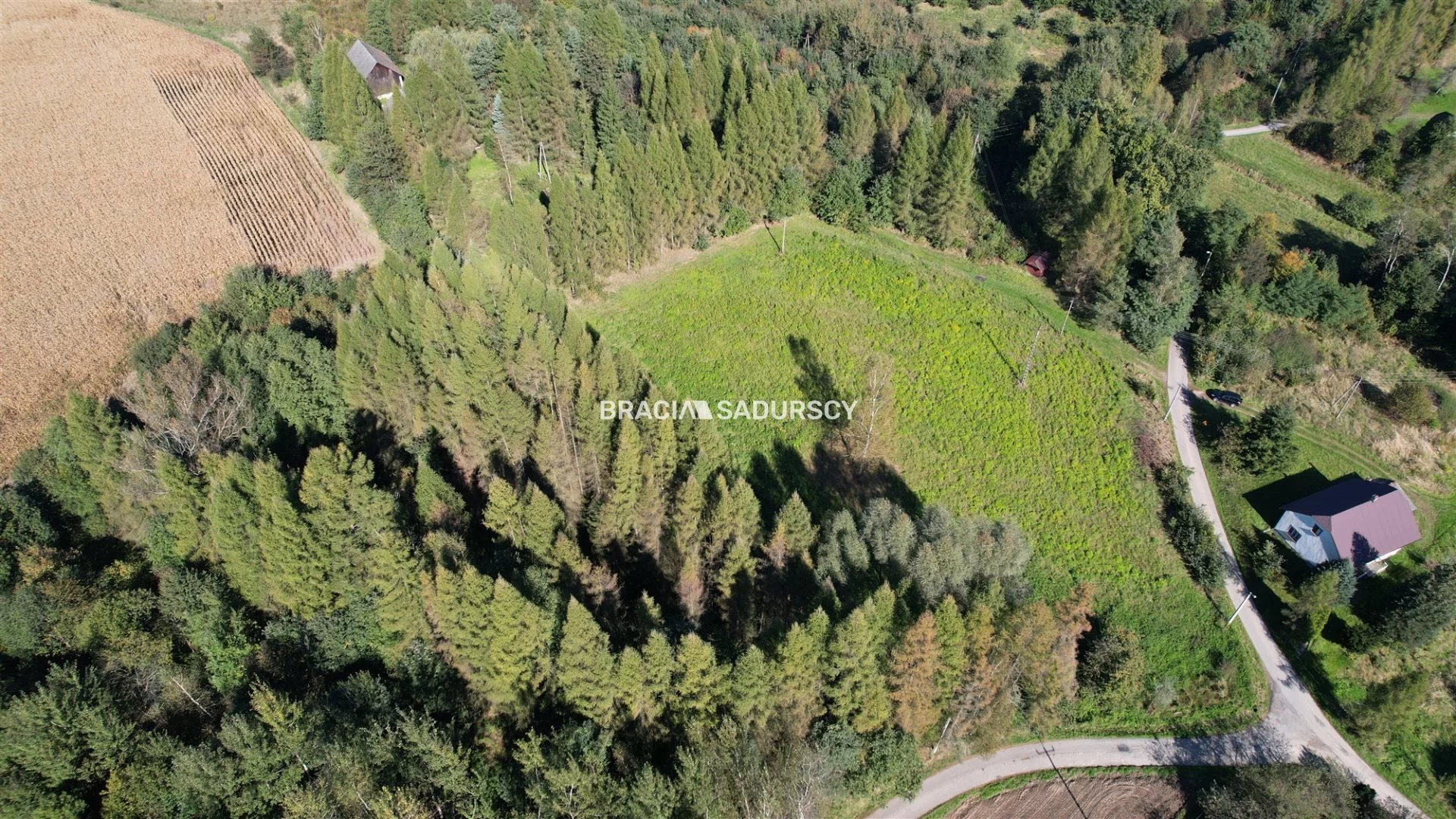 Działka 8 900,00 m², oferta nr , BS5-GS-286250-162, Alwernia