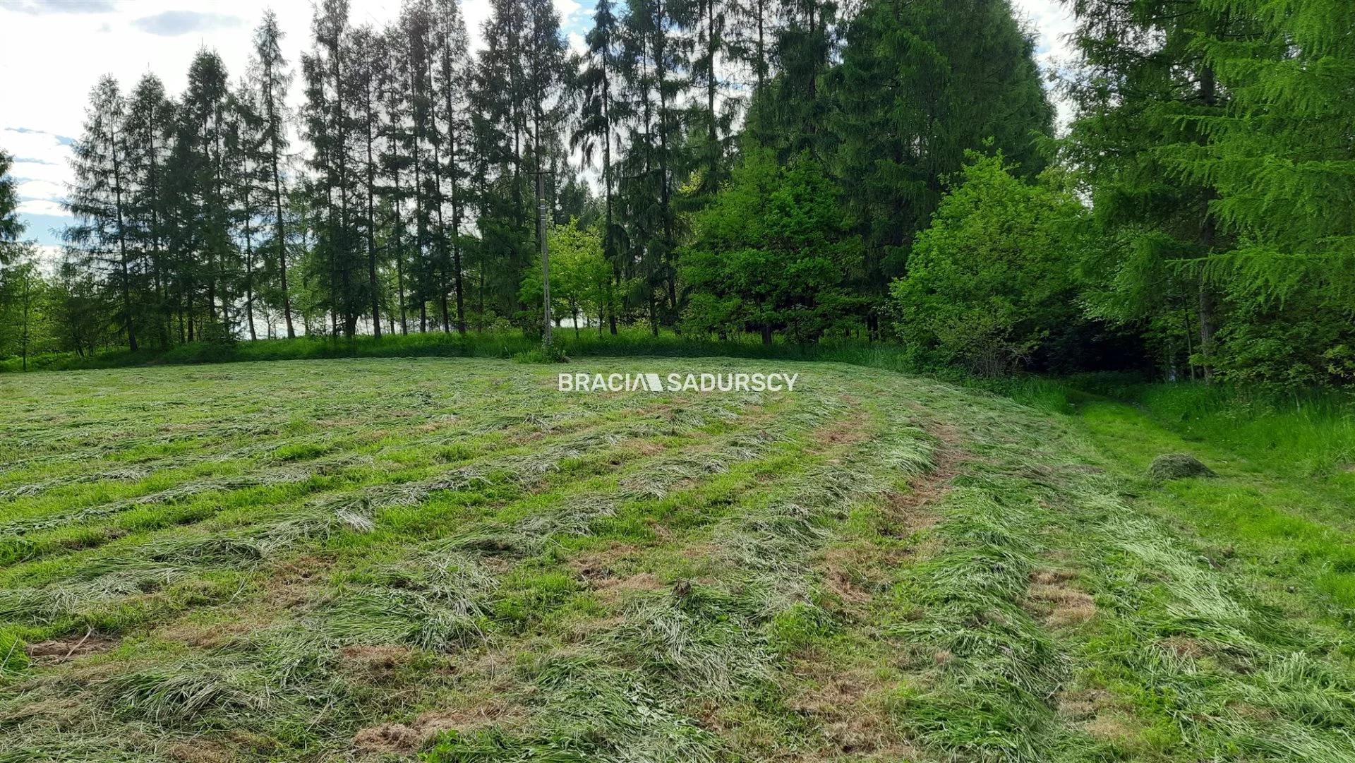 Działka 8 900,00 m², oferta nr , BS5-GS-286250-162, Alwernia