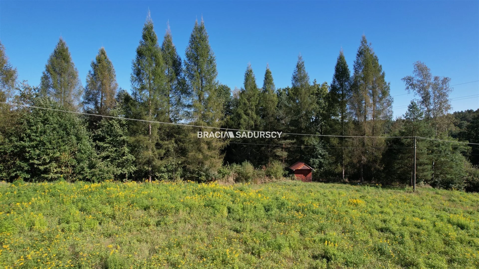 Działka 8 900,00 m², oferta nr , BS5-GS-286250-163, Alwernia