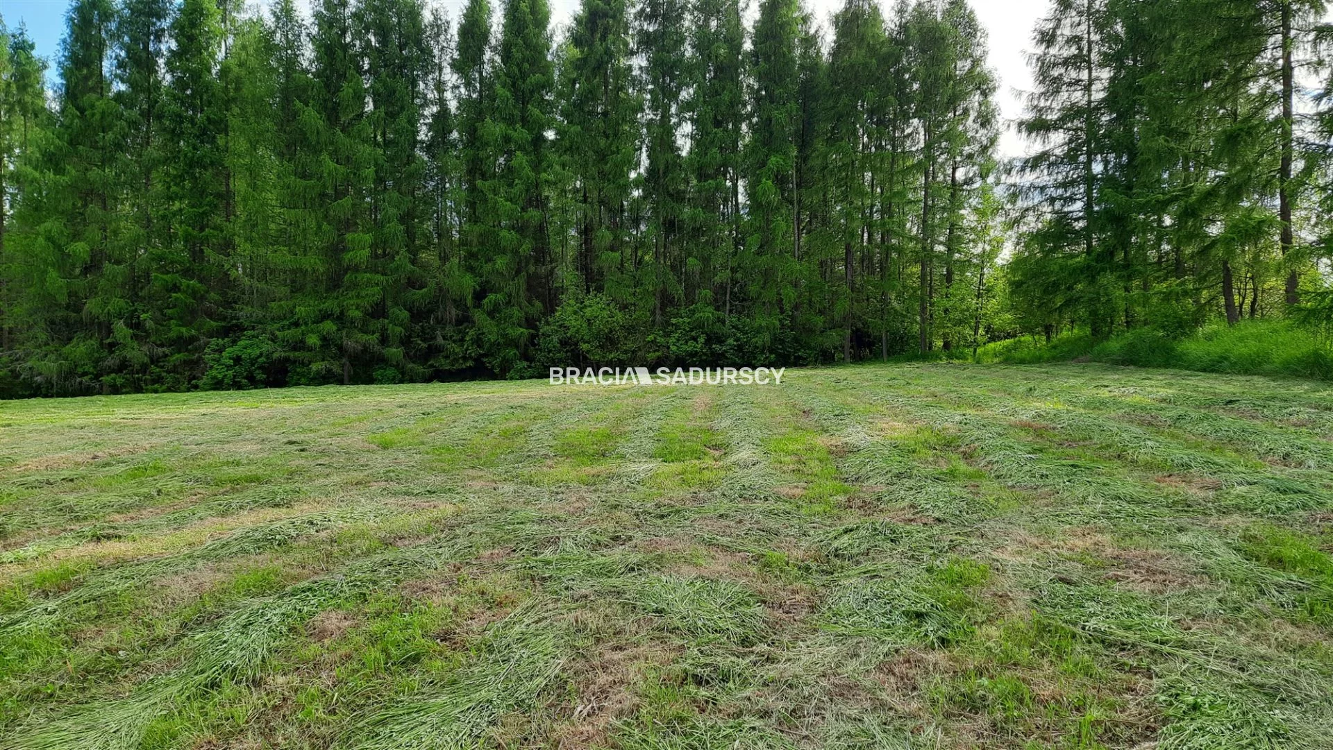 Działka 8 900,00 m², oferta nr , BS5-GS-286250-163, Alwernia