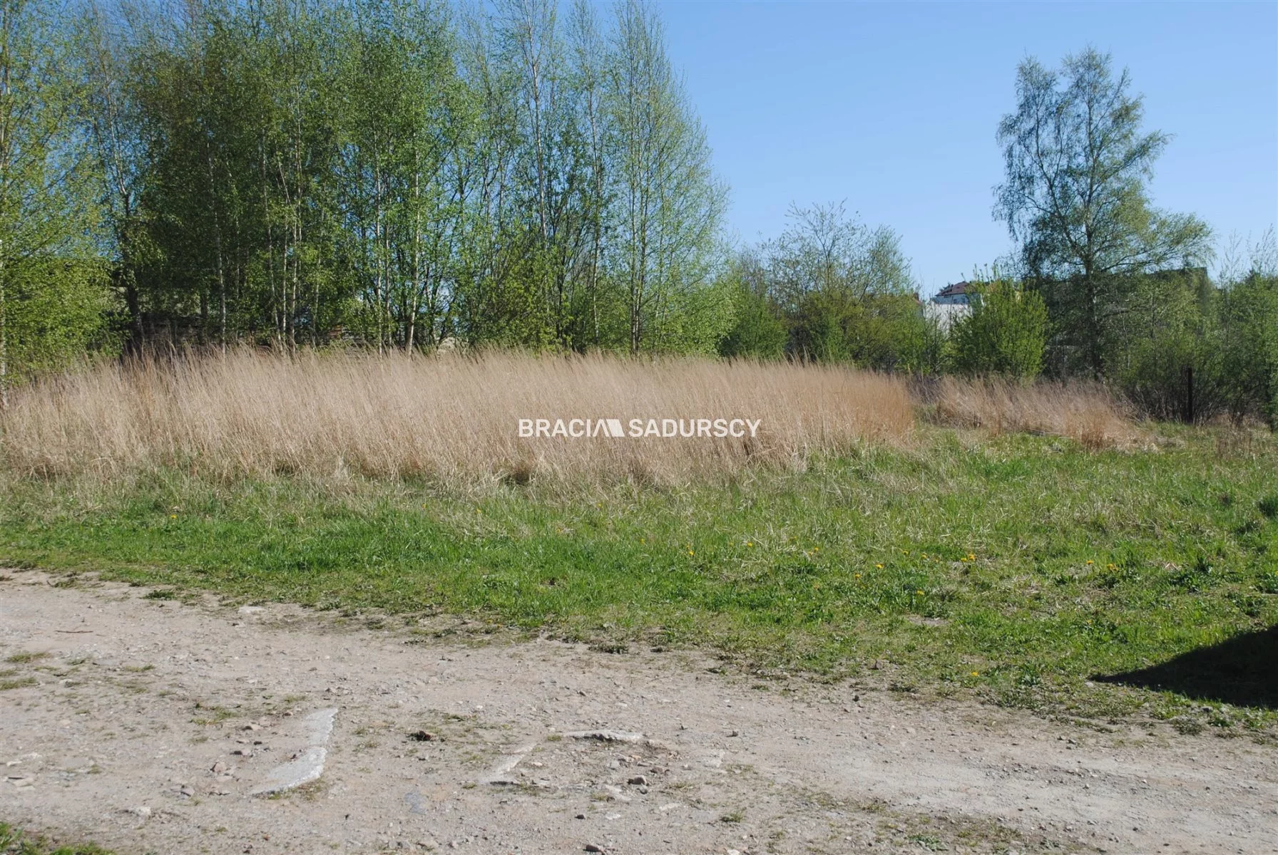 BS1-GS-308627-12 - zdjęcie nr 2