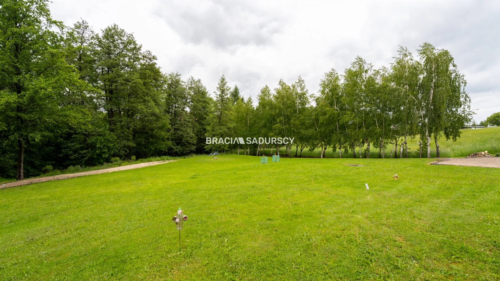 BS1-GS-309297-9 - zdjęcie nr 2