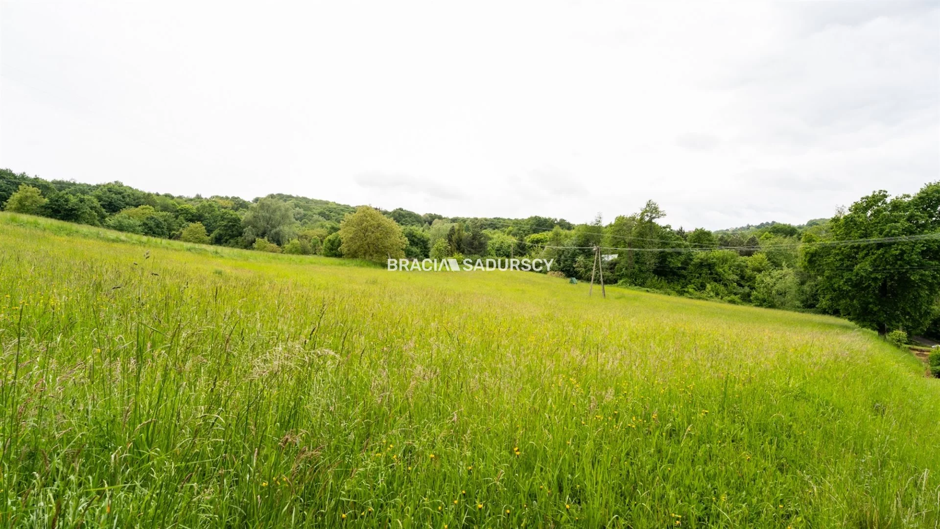 Działka 4 700,00 m², oferta nr , BS1-GS-309356-14, Biskupice