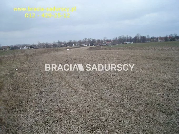 BS5-GS-295128-246 - zdjęcie nr 0