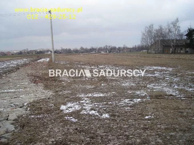 BS5-GS-295128-246 - zdjęcie nr 1