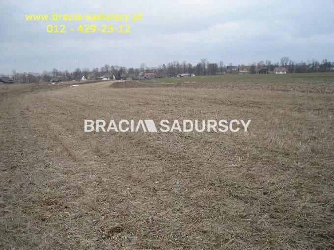 BS5-GS-295128-246 - zdjęcie nr 2