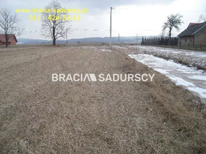 BS5-GS-295128-247 - zdjęcie nr 4