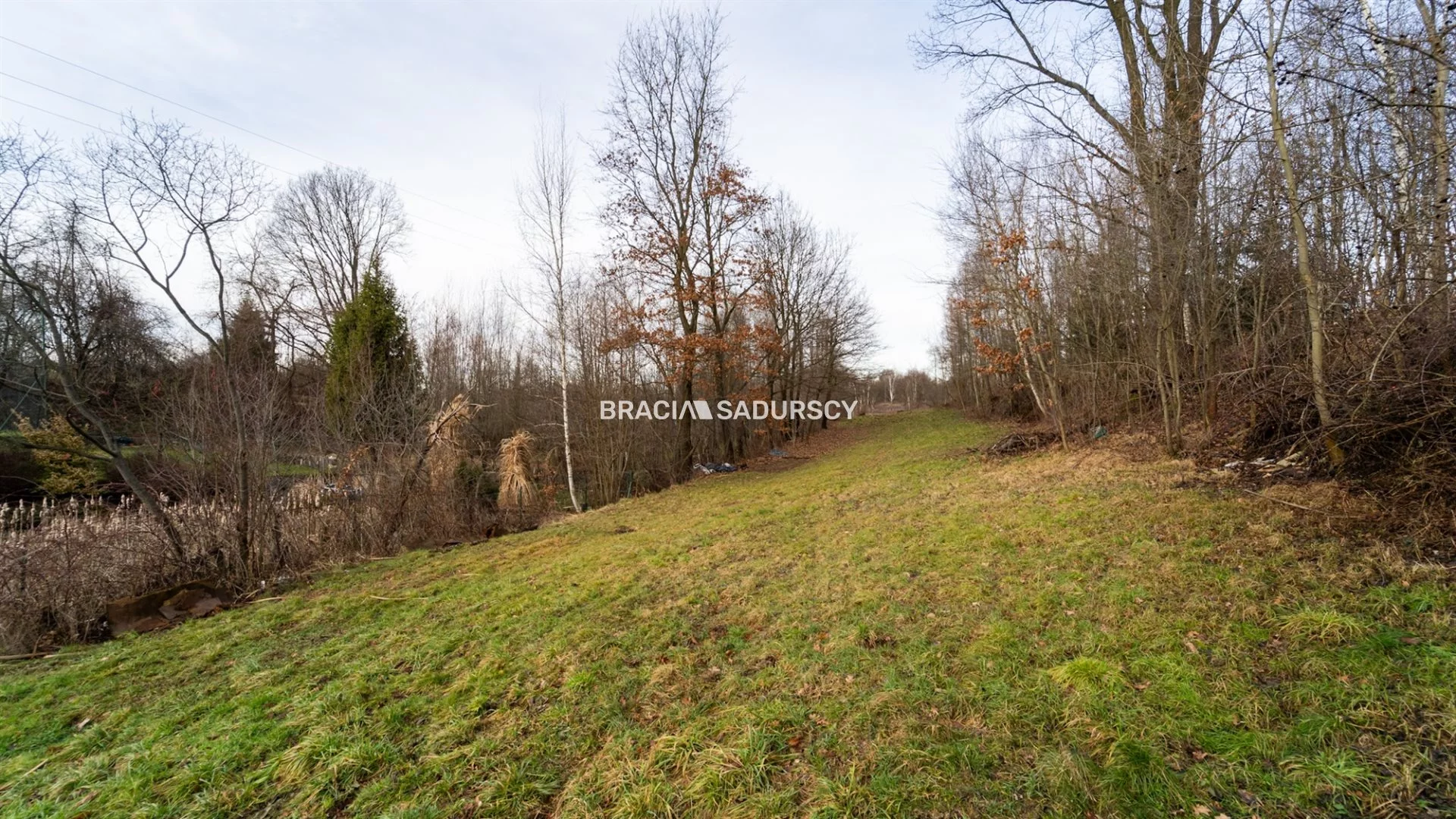 BS1-GS-309525-27 - zdjęcie nr 3