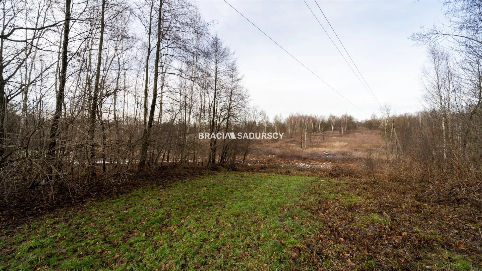 Działka 3 296,00 m², oferta nr , BS1-GS-309525-32, Skawina, Bukowska