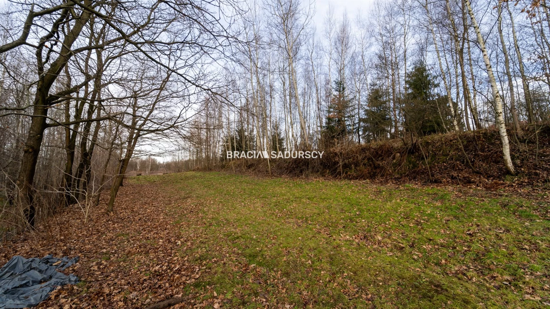 Działka 3 296,00 m², oferta nr , BS1-GS-309525-32, Skawina, Bukowska
