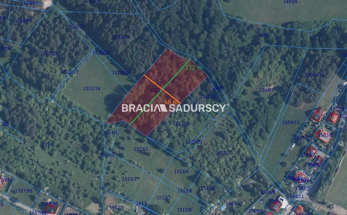BS5-GS-307497-12 - zdjęcie nr 1