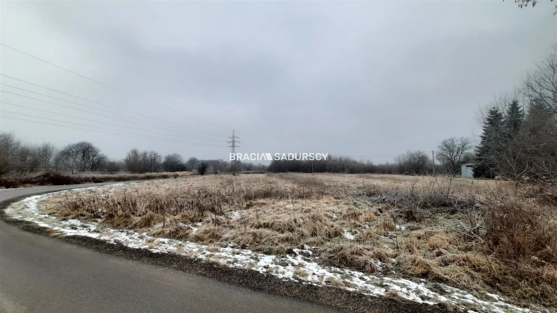 BS5-GS-298650-124 - zdjęcie nr 3