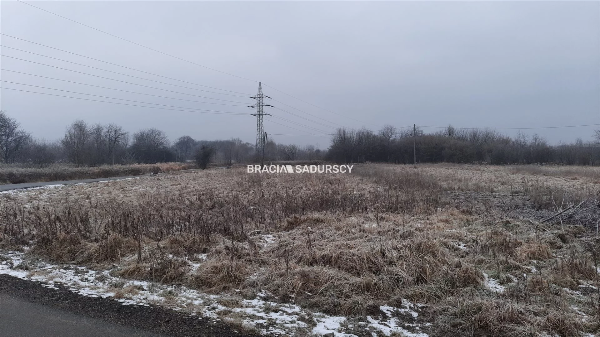 BS5-GS-298650-133 - zdjęcie nr 0