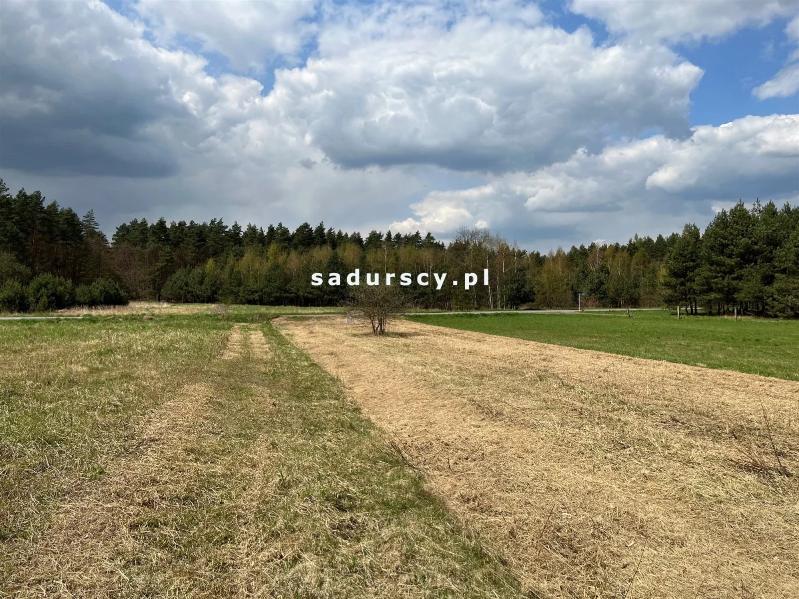 Działka na sprzedaż, 1 500,00 m², oferta nr BS3-GS-293660-6