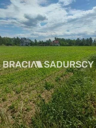 BS5-GS-291390-135 - zdjęcie nr 3