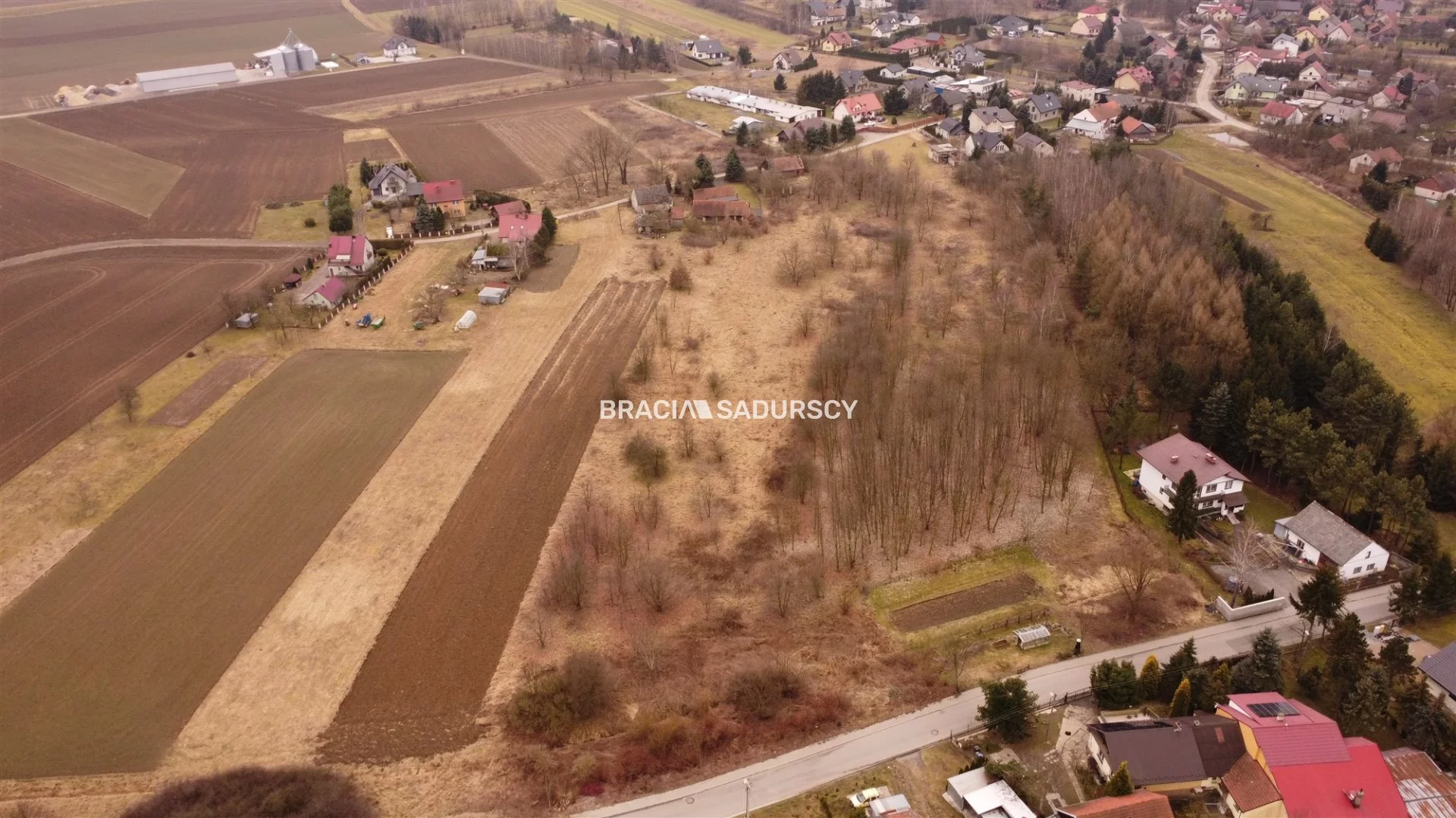 BS4-GS-309547-8 - zdjęcie nr 4