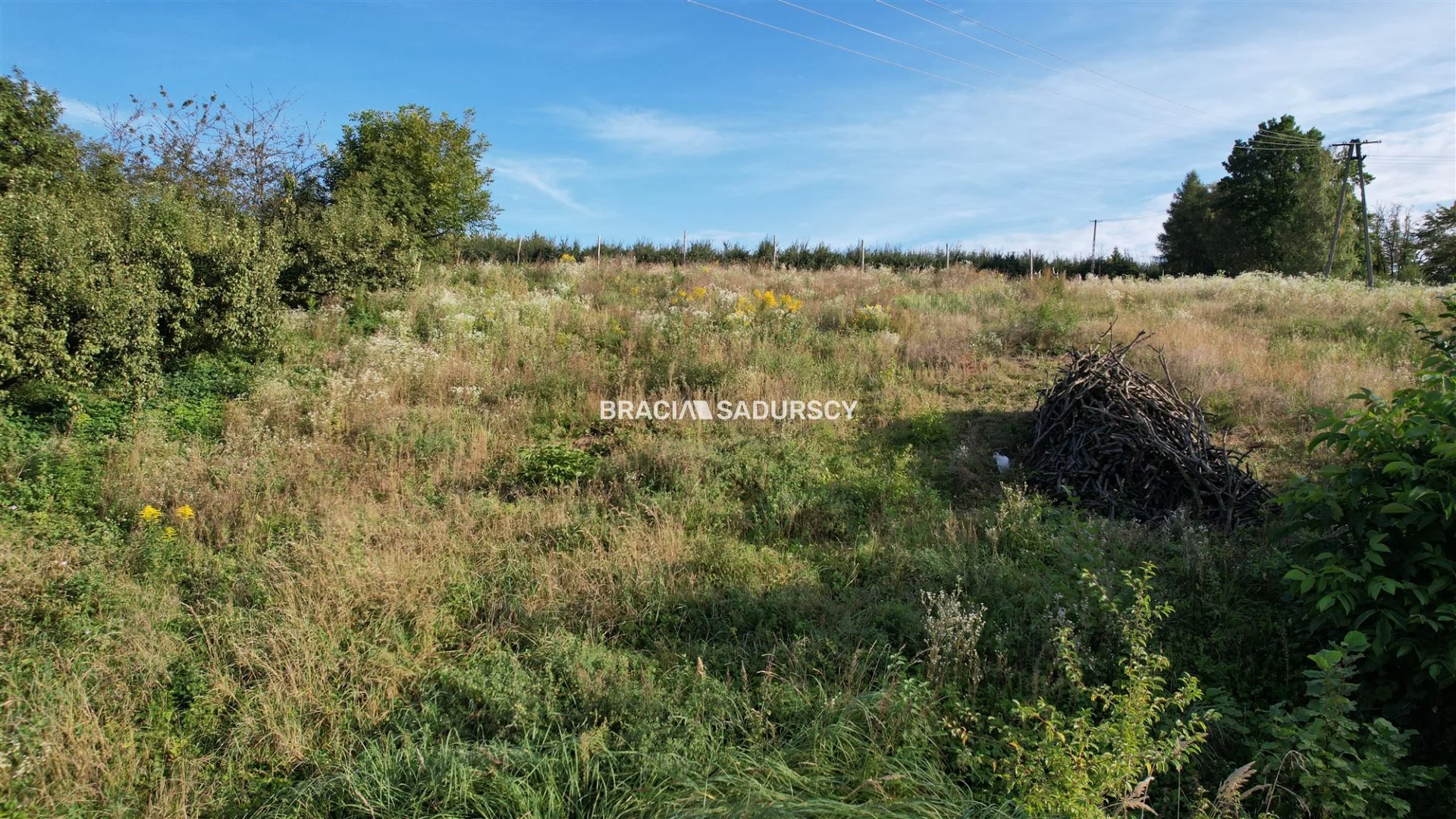 Działka 2 447,00 m², oferta nr , BS5-GS-300975-73, Damice