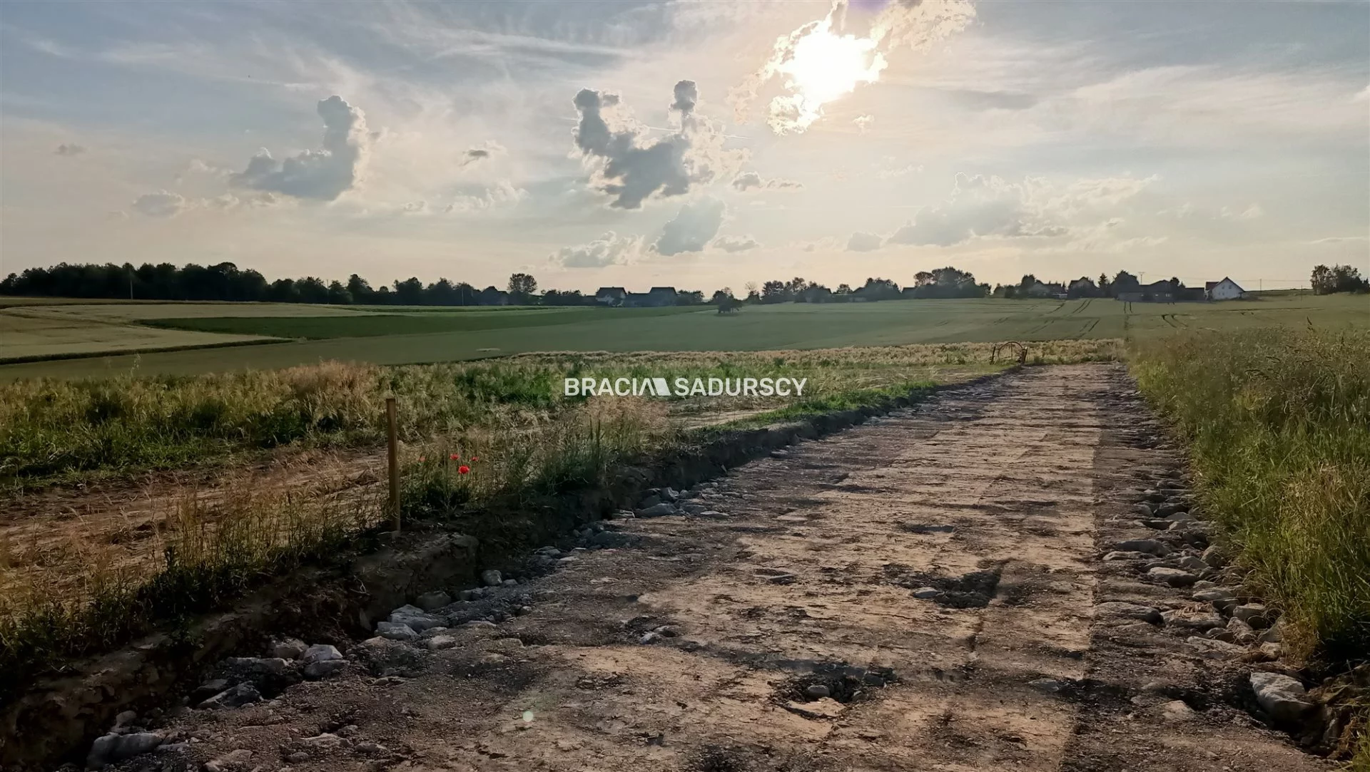 Działka 2 503,00 m², oferta nr , BS4-GS-309822-28, Sieciechowice, Długa