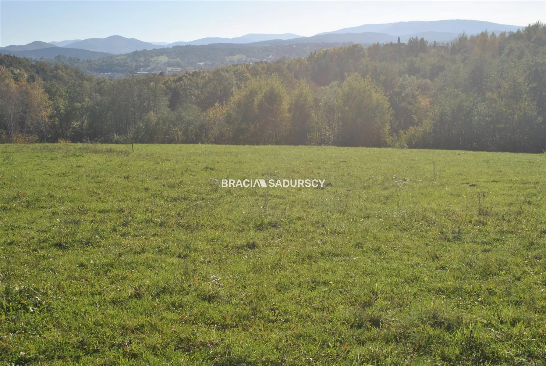 Działka 1 677,00 m², oferta nr , BS1-GS-309619-41, Dobczyce