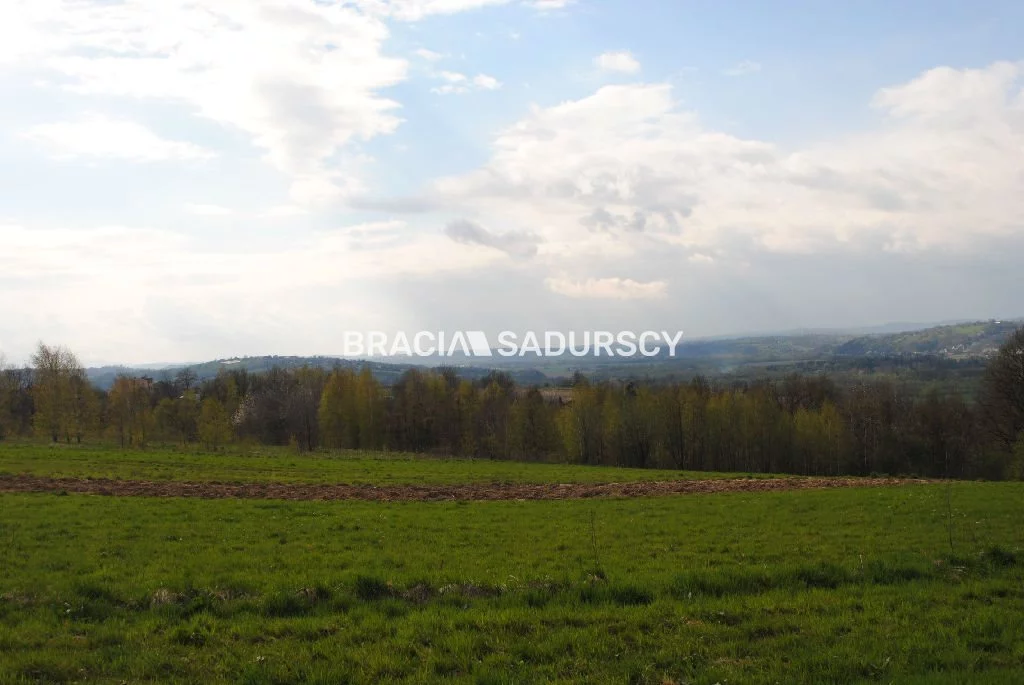BS1-GS-309594-366 - zdjęcie nr 3