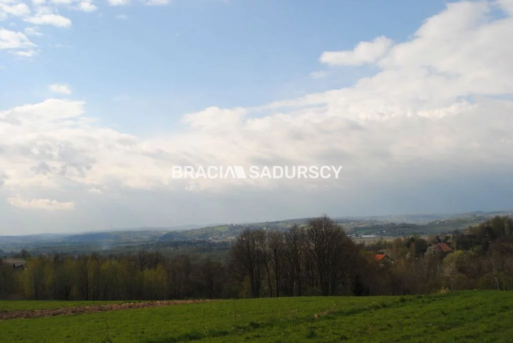 BS1-GS-309594-368 - zdjęcie nr 1