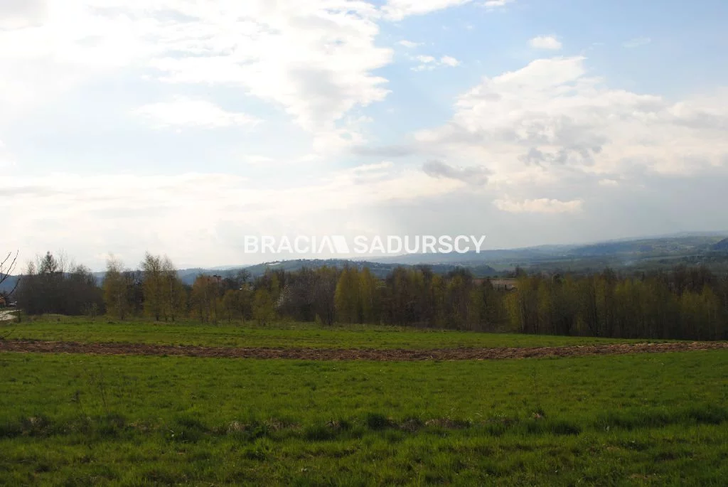 BS1-GS-309594-368 - zdjęcie nr 2