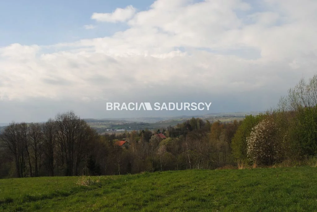 BS1-GS-309594-368 - zdjęcie nr 4