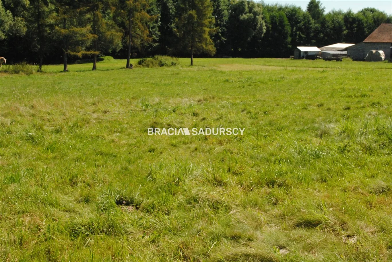 Apartamenty BS1-GS-309591-233 Gdów