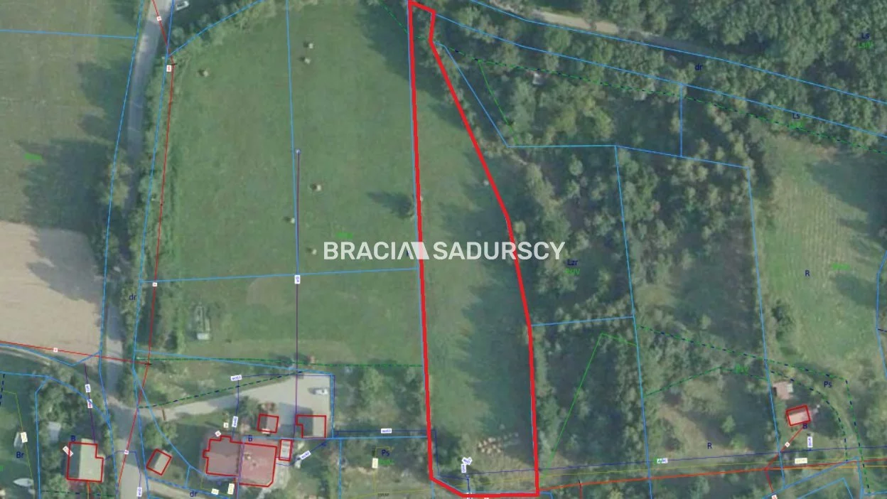 BS5-GS-300116-147 - zdjęcie nr 2