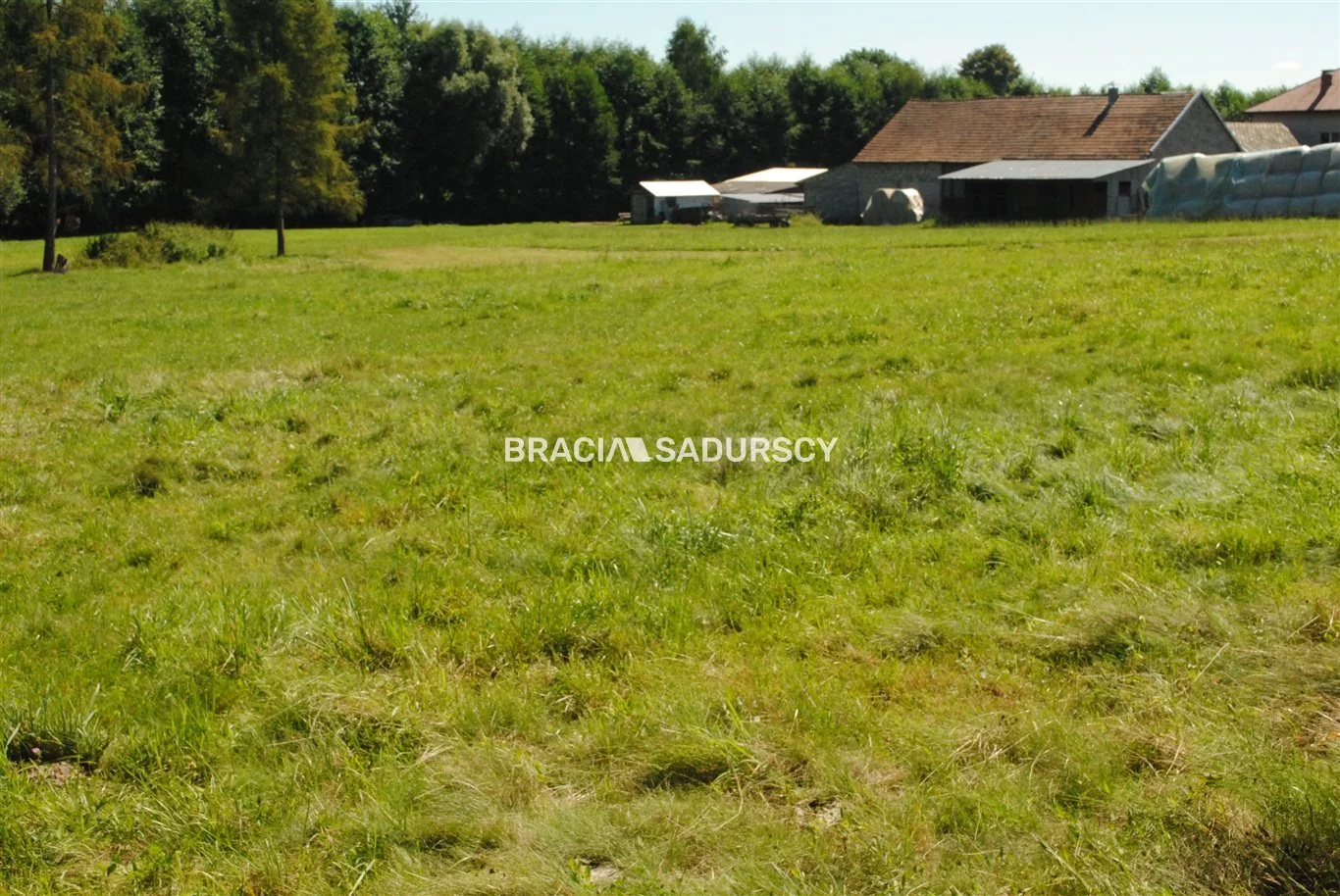 BS1-GS-309591-235 - zdjęcie nr 0