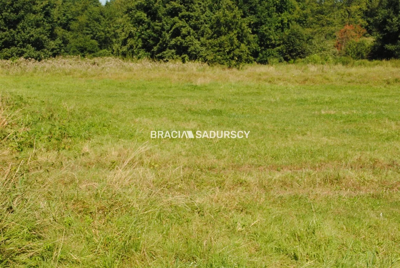 BS1-GS-309591-235 - zdjęcie nr 3