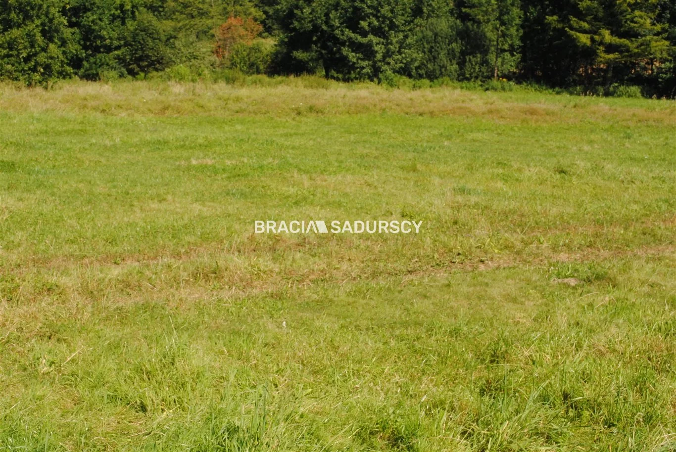 BS1-GS-309591-235 - zdjęcie nr 4