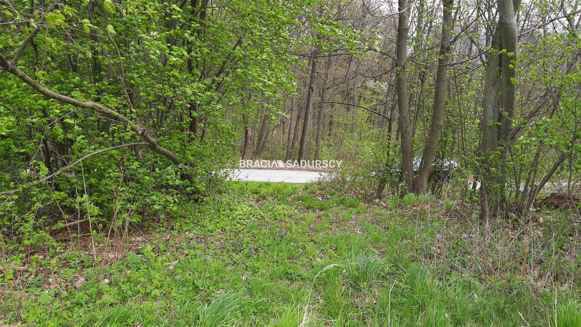 Działka 3 400,00 m², oferta nr , BS5-GS-300116-150, Gdów