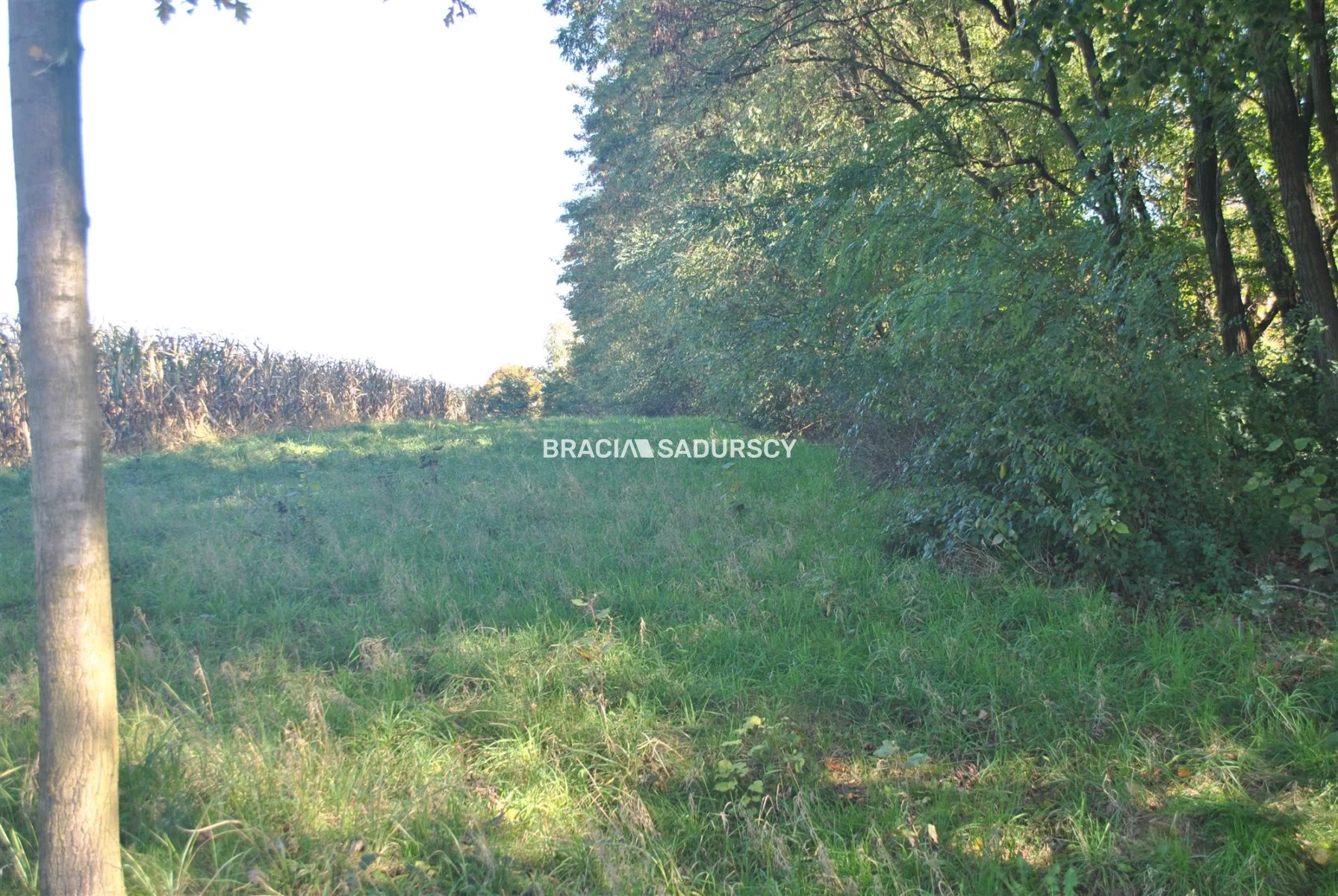 Działka 9 100,00 m², oferta nr , BS1-GS-304816-41, Gdów