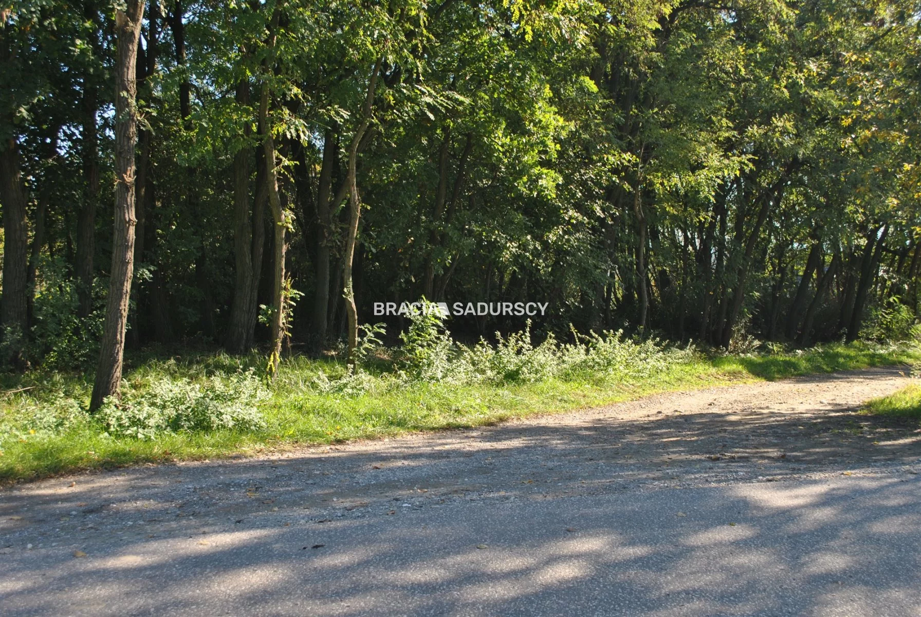 Działka 9 100,00 m², oferta nr , BS1-GS-304816-41, Gdów