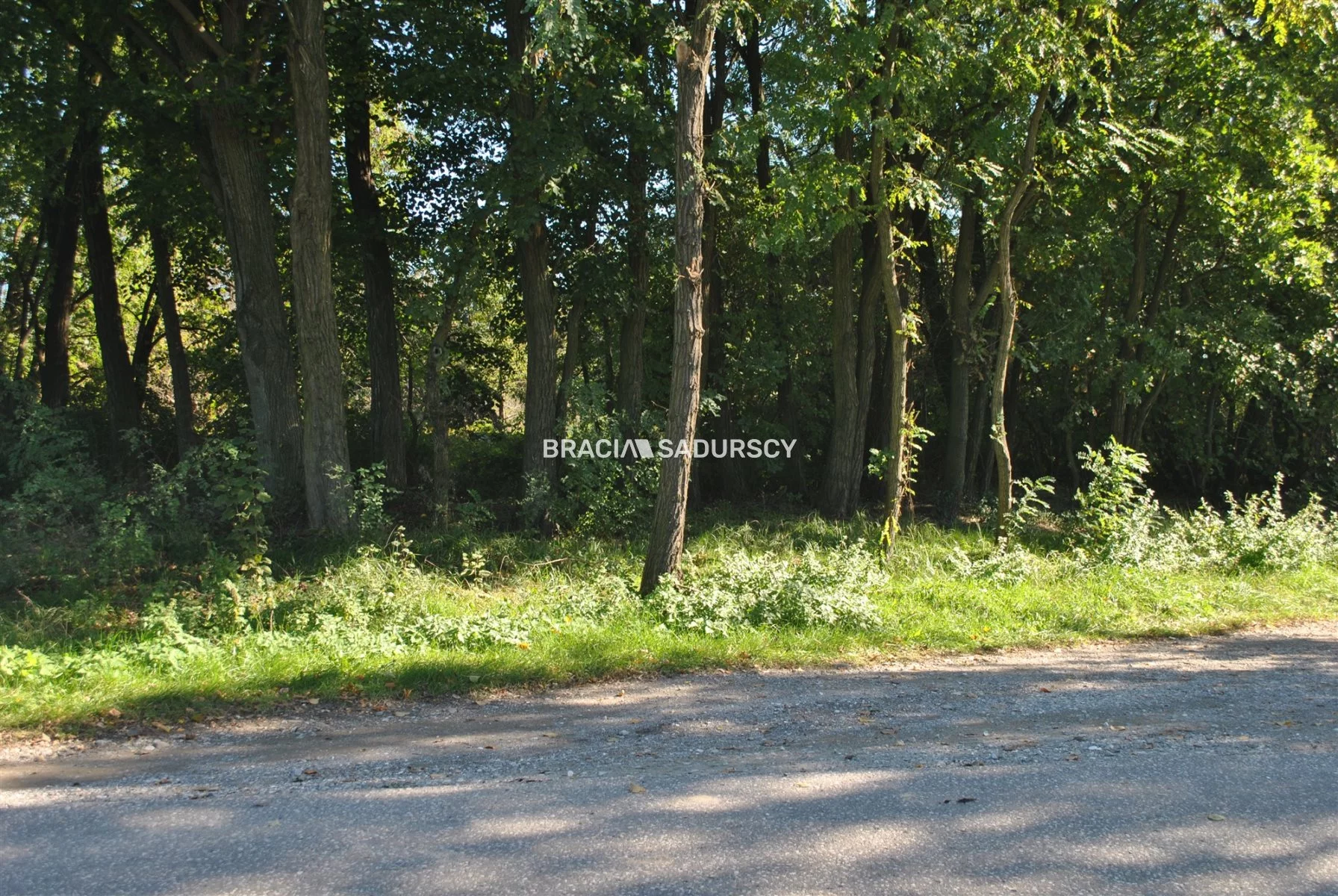 Działka 9 100,00 m², oferta nr , BS1-GS-304816-41, Gdów