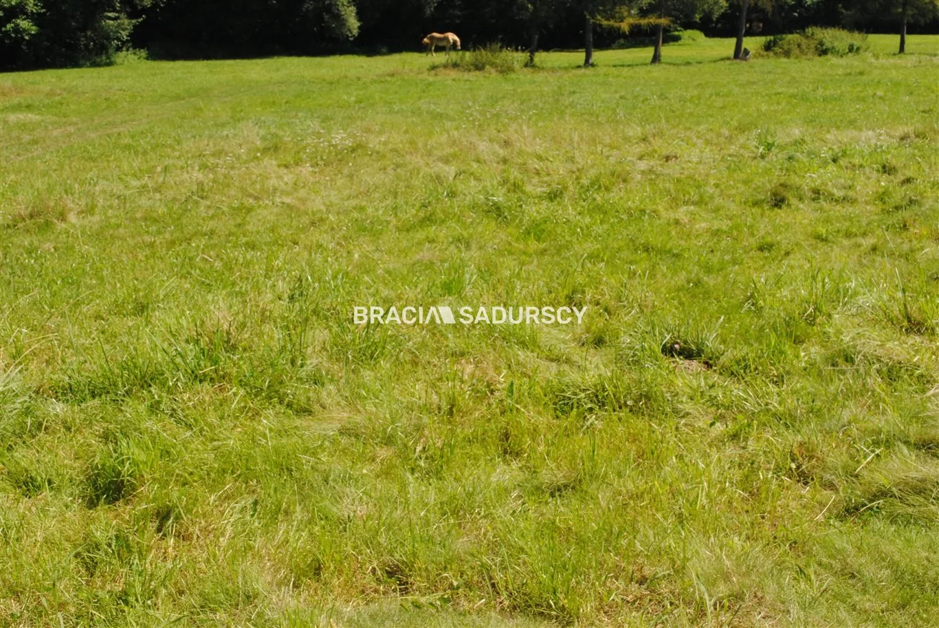 Działka 8 670,00 m², oferta nr , BS1-GS-309591-240, Gdów
