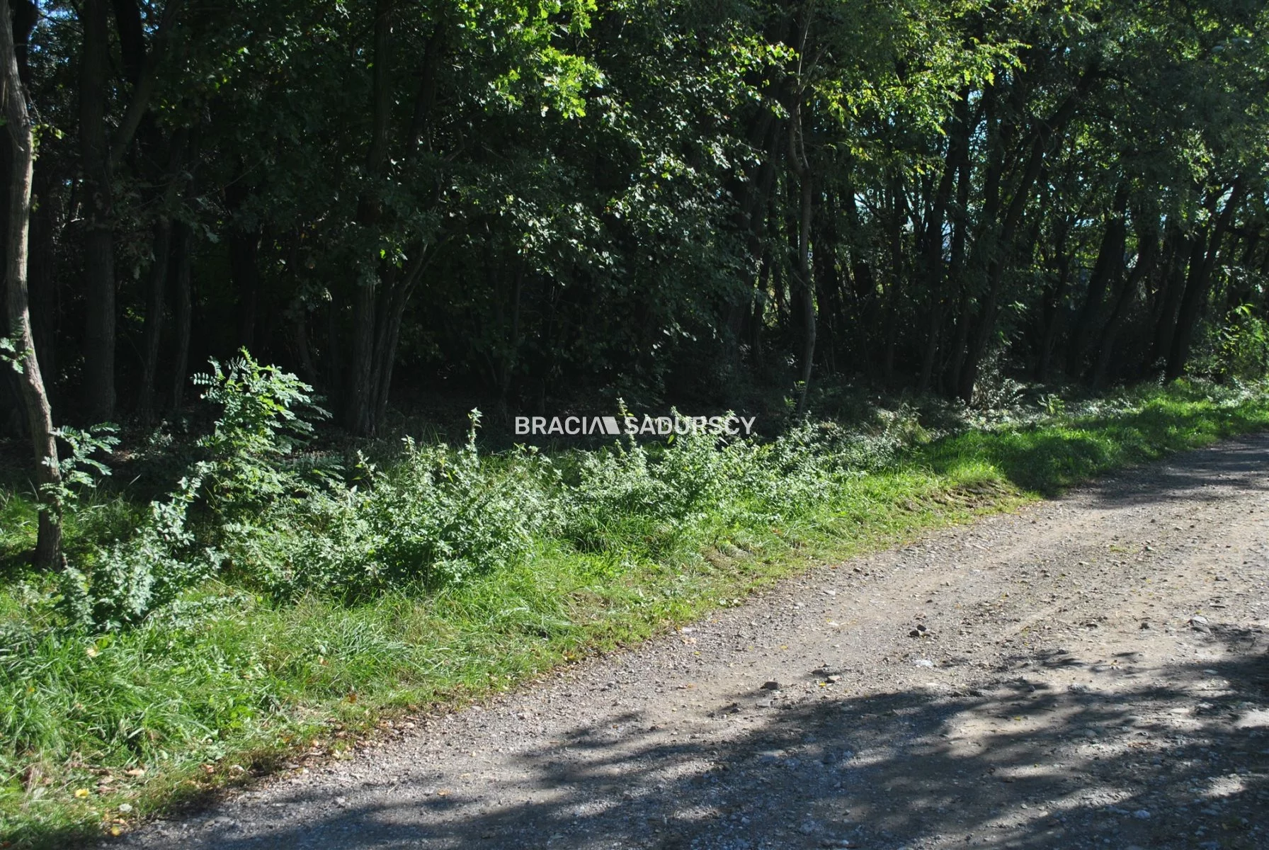 Działka 9 100,00 m², oferta nr , BS1-GS-304816-42, Gdów
