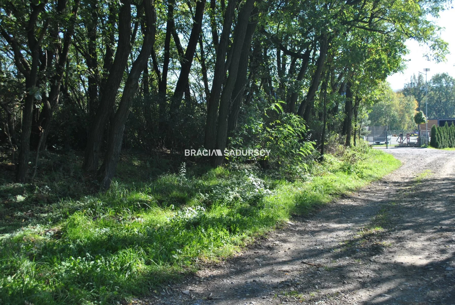 Działka 9 100,00 m², oferta nr , BS1-GS-304816-42, Gdów