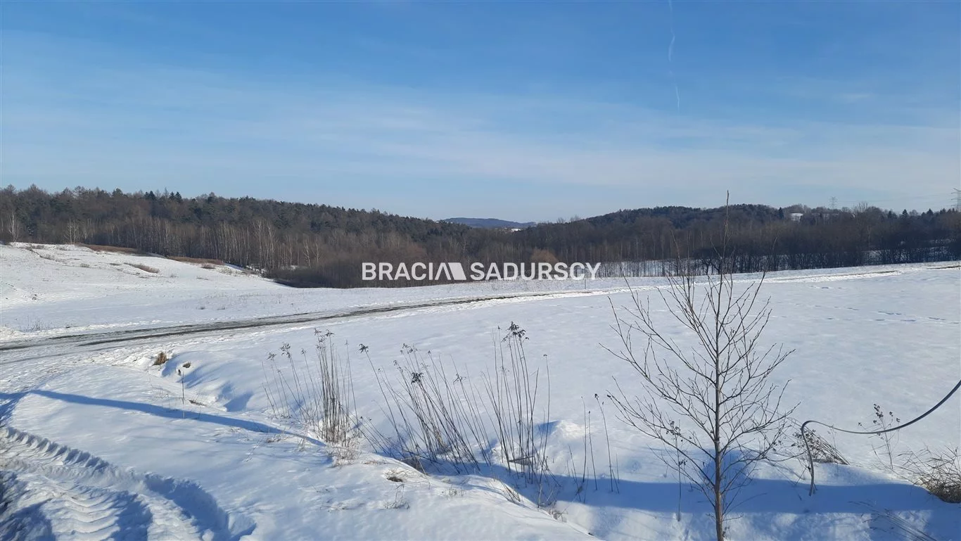 Działka 10 550,00 m², oferta nr , BS5-GS-298662-176, Gnojnik