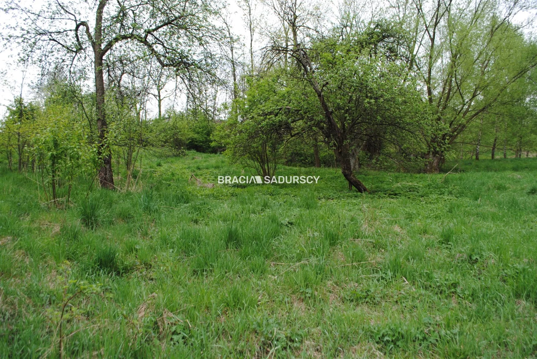 Działka 2 340,00 m², oferta nr , BS1-GS-309600-193, Gołcza