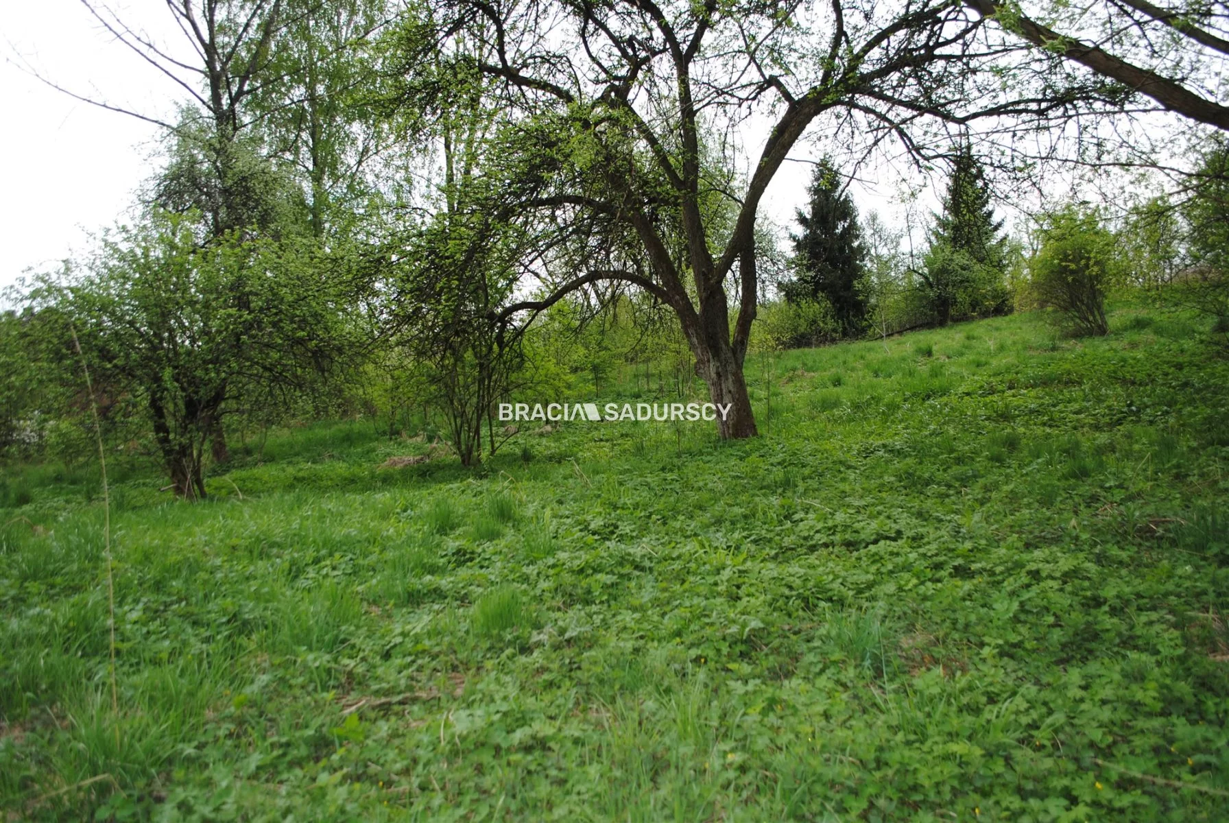 Działka 2 340,00 m², oferta nr , BS1-GS-309600-193, Gołcza