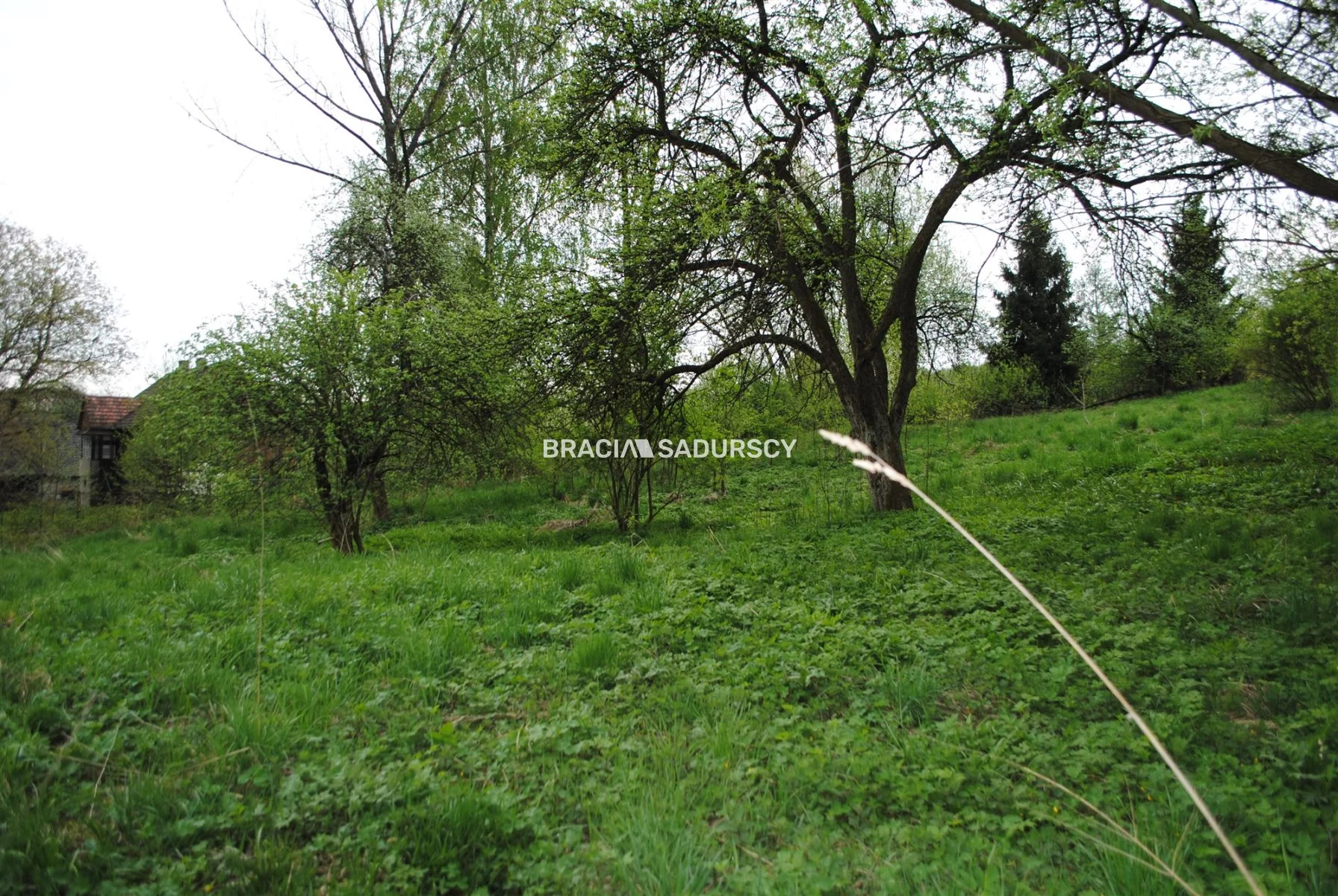 Działka 2 340,00 m², oferta nr , BS1-GS-309600-193, Gołcza