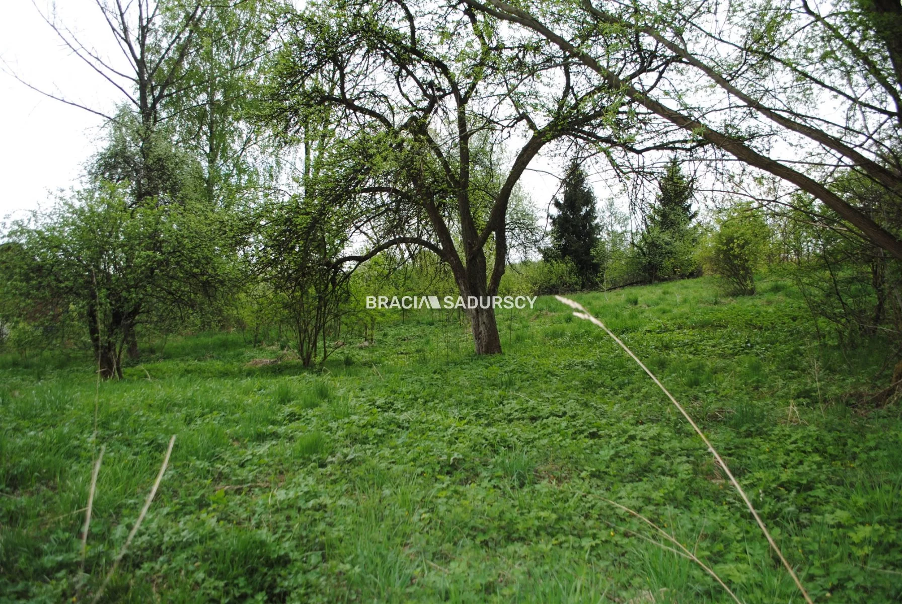 Działka 2 340,00 m², oferta nr , BS1-GS-309600-193, Gołcza